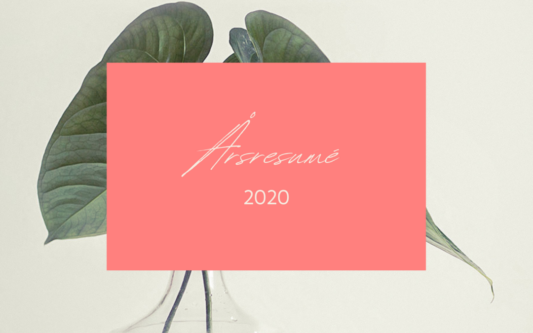 Mitt 2020 – en resumé